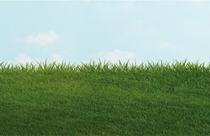 cropped-fit_header_1200x198.jpg